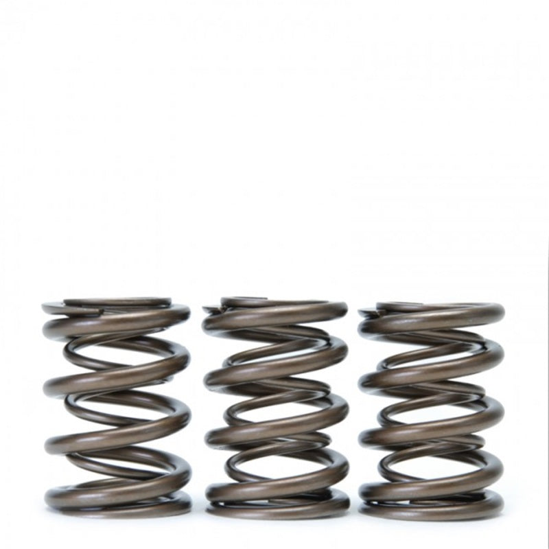 Skunk2 Racing 311-05-1360 Skunk2 Tuner Series fits Honda/fits Acura (H22A/F20B) DOHC VTEC Alpha Valve Spring Set (Dual Springs)