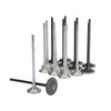 Skunk2 Racing 310-05-2000 fits Honda K20C1 Alpha Series Intake/Exhaust Valve Set
