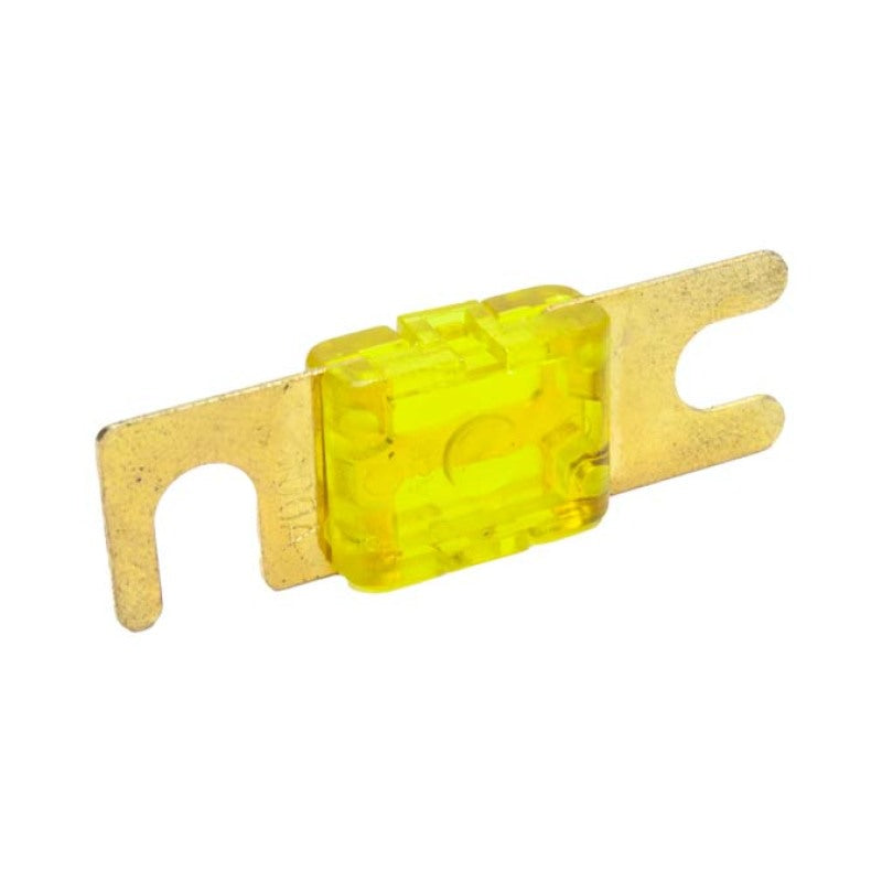 Snow Performance SNF-25012Snow 100 Amp Fuse