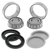 QuadBoss 413436 06-09 Arctic Cat 250 2x4 Swingarm Repair Kit