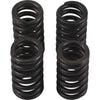 Hot Cams VSK2002 Valve Spring Kit, ea, 1
