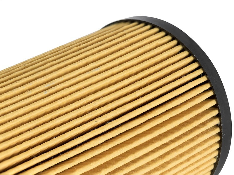 AFE 44-LF003 rd D2 Fluid Filters Oil F/F OIL fits Ford Diesel Trucks 03-10 V8-6