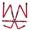 Racequip 856016 Red FIA CAMLOCK 6pt 2in Pull Up Lap FHR