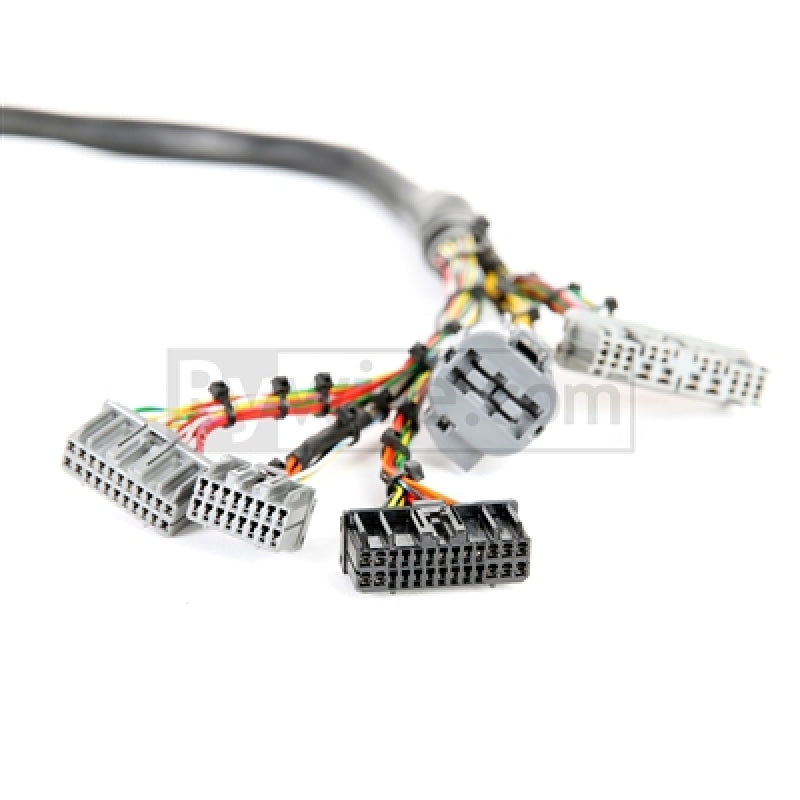 Rywire RY-B1-MILSPEC fits Honda 92-95 B/D-Series Mil-Spec Eng Harness w/OBD1 Dist/Inj/Alternator & Plugs (Adapter Req)