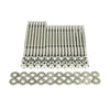 Wagner Tuning P101142010.VN 06-10 Volkswagen Passat B6 3.6L R36 Nickeled Head Stud Set