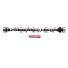Edelbrock 2231 Camshaft Rollin Thunder 57-86 fits SBC V8 242-Deg /240-Deg Duration 594In/ 594In Lift