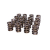 COMP Cams 916-16 Valve Springs 1.560in 2 Spring