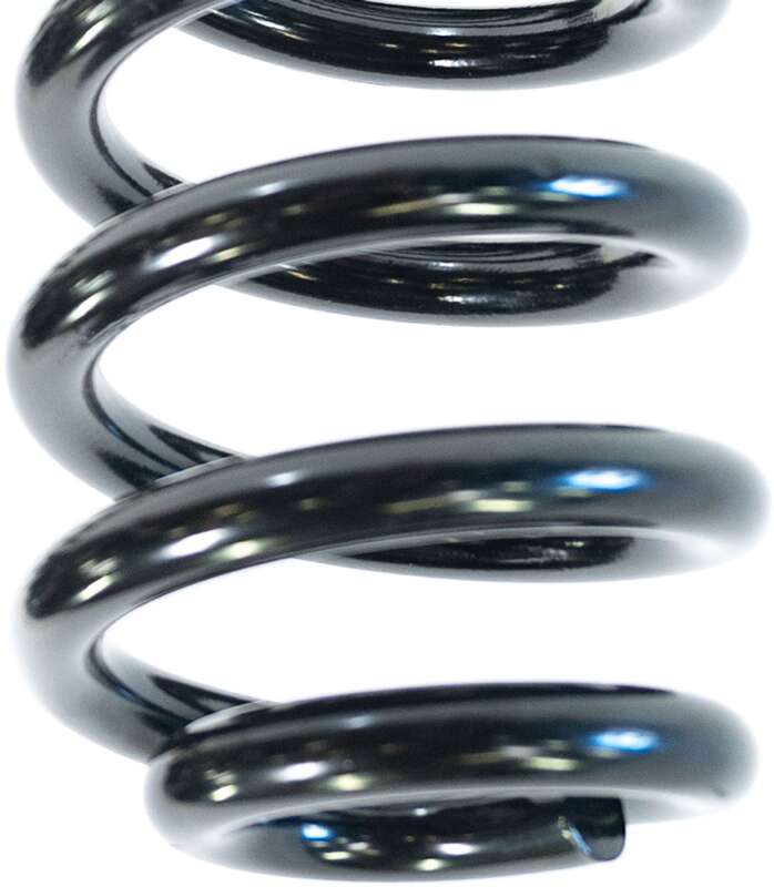 Camburg CAM-110105-G 05-24 fits Ford F-250/350 4WD 2.5in. Performance Coil Springs (pair) (gas)