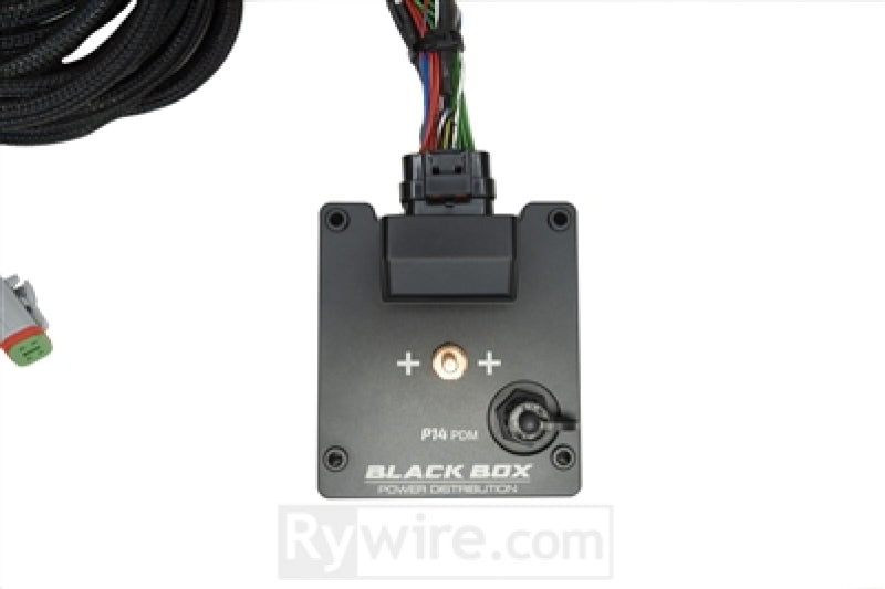 Rywire RY-CHASSIS-HONDA-P14 P14 PDM fits Honda Chassis Harness Kit (Drop Ship Only Note PO w/Model for Head/Taillight Adaptor)