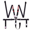 Racequip 841001 Camlock 5 Point 2In Auto Racing Harness Set / Pull-Down Lap / SFI 16.1 Seat Belt Set- Blk