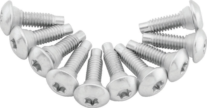 Twin Power 46268 fits 01-17 Softail Models 02-07 FLH FLHT Fuel Pump Plate Screw