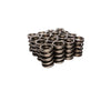 COMP Cams 927-16 Valve Springs Nascar