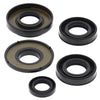 QuadBoss 564134 fits Kawasaki KFX80 Oil Seal Set