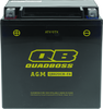 QuadBoss 401386 fits GM Battery QBX20CH-FA