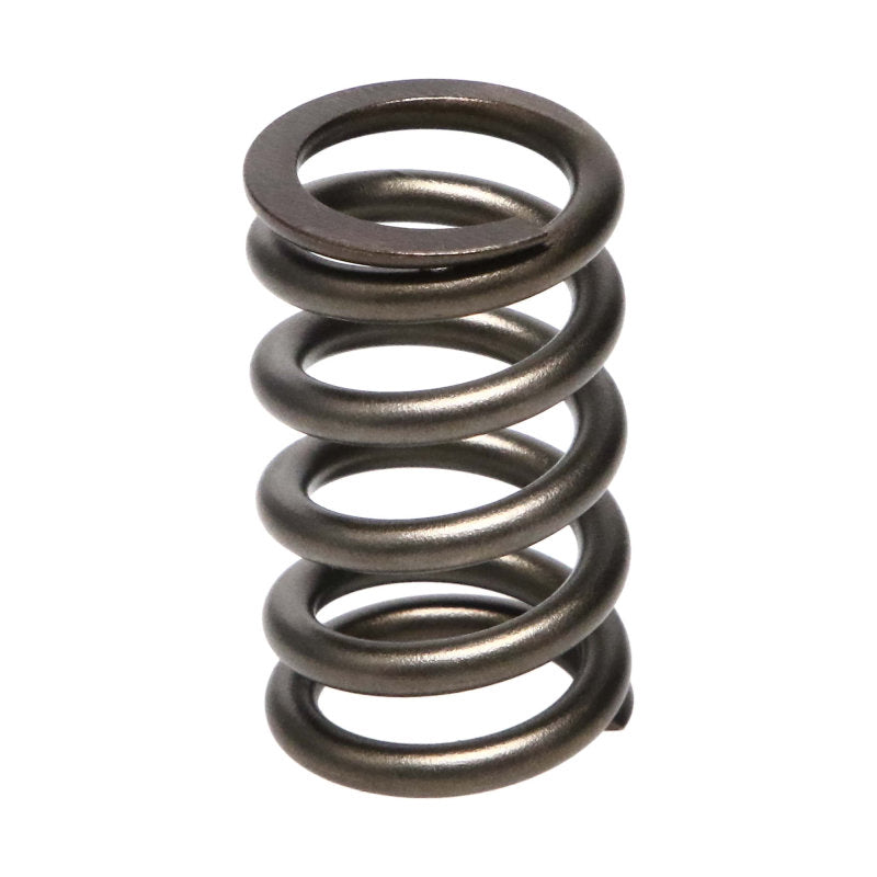 Manley 22190-16 fits Dodge SRT-4 16pc Valve Springs
