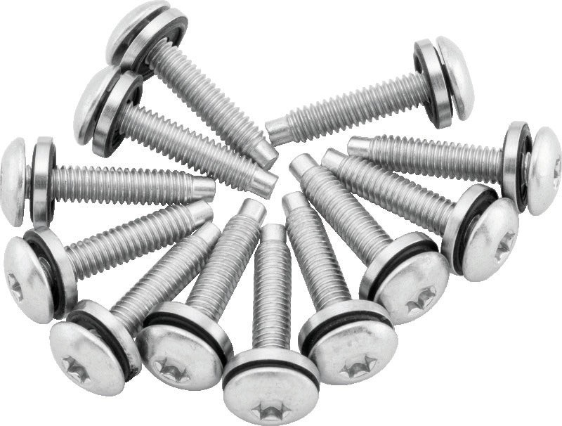 Twin Power 46269 04-17 Dyna Models Fuel Pump Plate Screw Kit Replaces H-D 1311