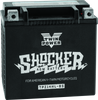 Twin Power 781152 YTX-14L Shocker Battery Replaces H-D 65958-04 220 CCA