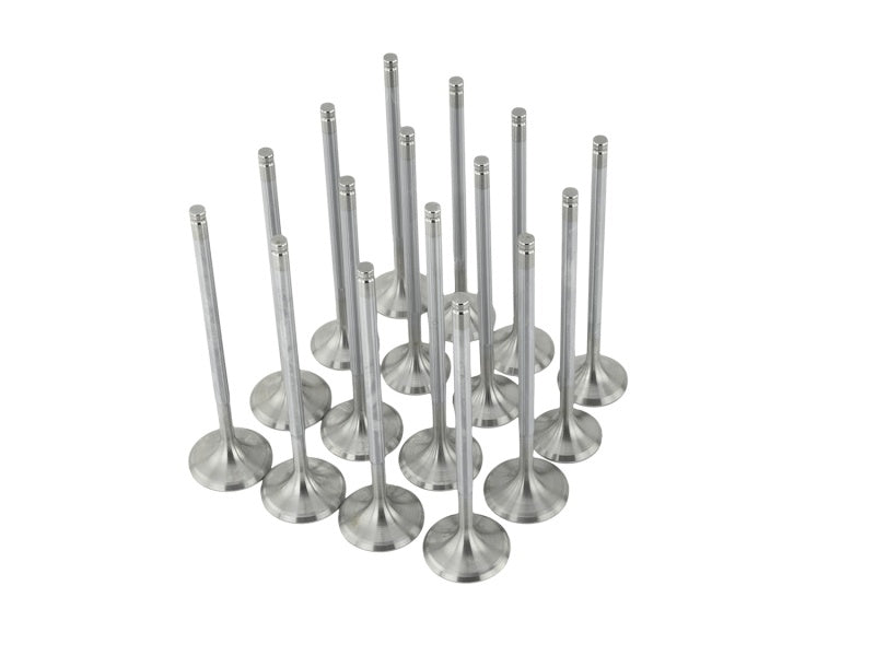Skunk2 Racing 310-05-1600 Alpha fits Honda/Acura Stock Size D Series Valve Set