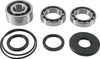 QuadBoss 412647 2017 Polaris RZR 4 900 (02) Front Differential Bearing & Seal Ki