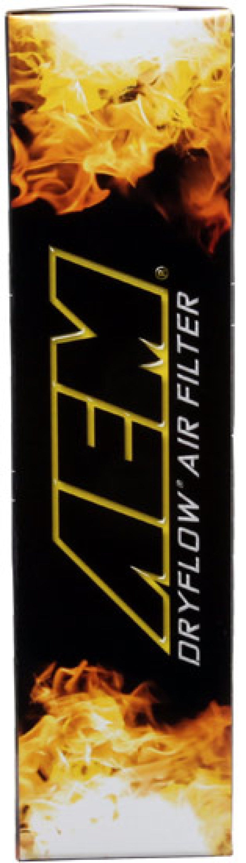 AEM 28-50099 13-20 fits Nissan Sentra 1.8L DryFlow Air Filter