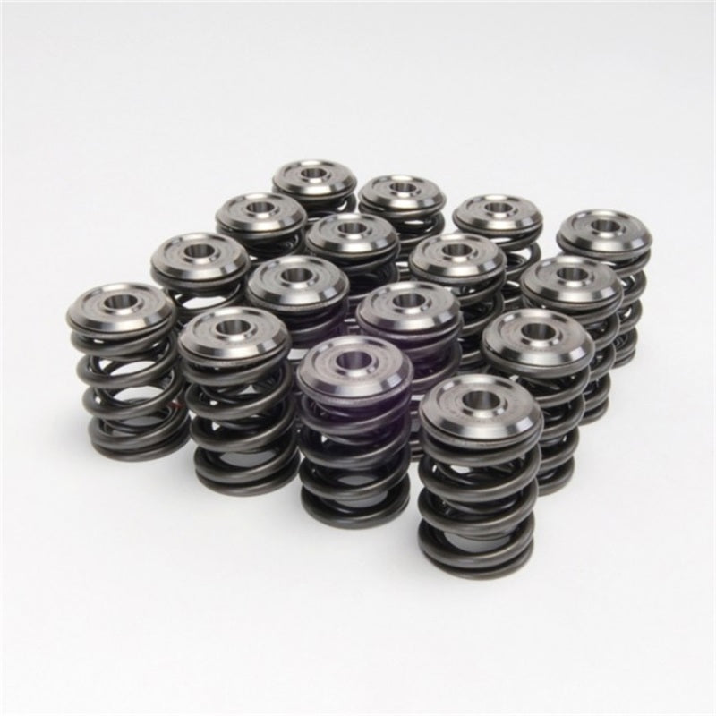 Skunk2 Racing 344-05-1300 Skunk2 Alpha Series fits Honda/fits Acura B Series Valve Spring and Titanium Retainer Kit
