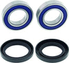 QuadBoss 411204 Qboss Wheel Bearing Kit
