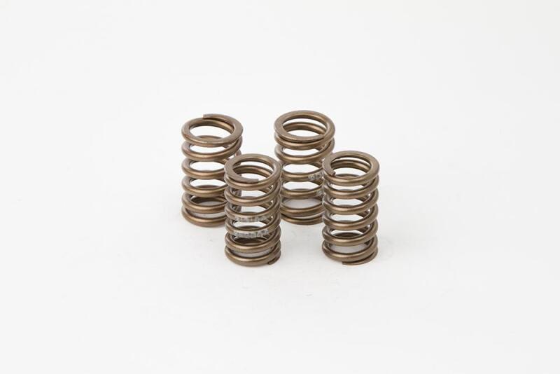 Hot Cams VSK2006 Valve Spring Kit, Boxed, ea, 1