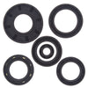 QuadBoss 564151 04-06 Arctic Cat 650 V2 4x4 AT Oil Seal Set