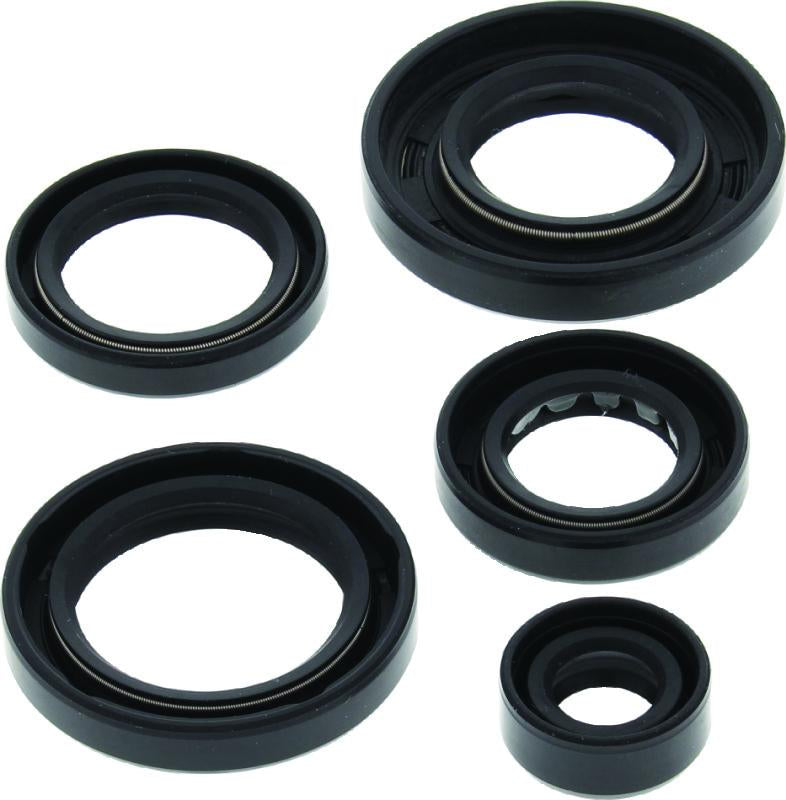 QuadBoss 564593 Qb Oil Seal Set