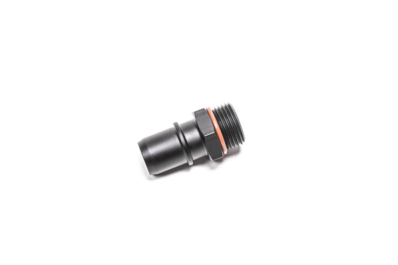 Radium Engineering 14-0749 10AN ORB To .750 SAE Male