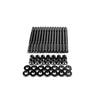 Wagner Tuning P102041410.BR fits BMW M54 Engine OEM Head Stud Set - Burnished