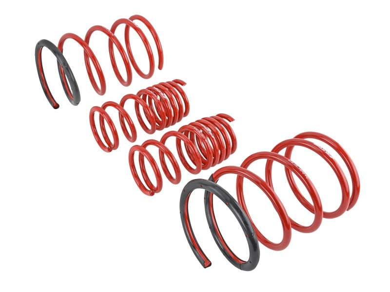 Skunk2 Racing 519-05-1570 Skunk2 01-05 fits Honda Civic Lowering Springs (2.25in - 2.00in.) (Set of 4)