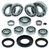 QuadBoss 417759 Qb Transaxle Bearing Kit