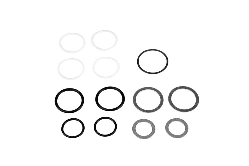Aeromotive 14001 Rebuild Kit - Fuel Log (14201/14202)