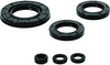 QuadBoss 564788 Qb Oil Seal Set