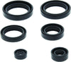 QuadBoss 564398 Qb Oil Seal Set