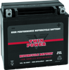 Twin Power YTX-14L fits High Performance Battery Replaces H-D 65958-04 Made in