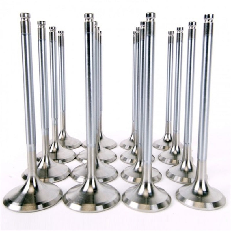 Skunk2 Racing 310-05-1400 Alpha fits Honda/Acura Stock Size H Series Valve Set