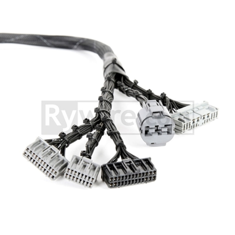 Rywire RY-B1-BASE fits Honda 92-95 B-Series OBD1 Tuck Budget Eng Harness w/OBD1 Dist/Inj/Alt/ ECU Plugs (Adapter Req)