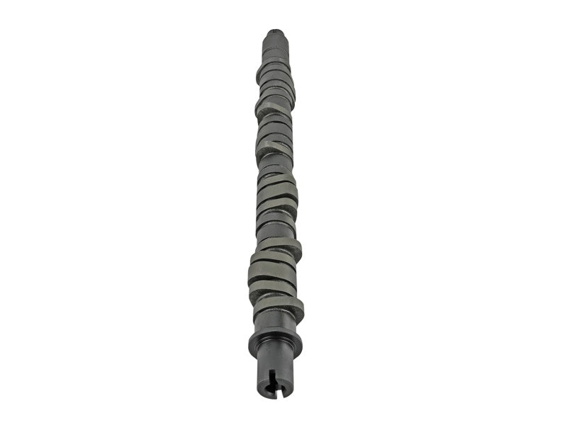 Skunk2 Racing 305-05-0055 Skunk2 Tuner Series D-Series fits Honda Stage 4 Camshaft
