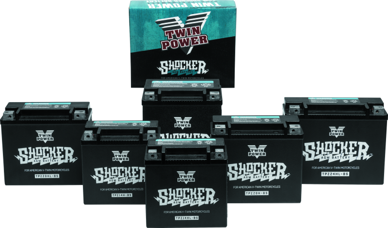 Twin Power 781151 YTX-14 Shocker Battery Replaces H-D 65948-00 220 CCA