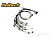 Rywire RY-B-HALTECH-ELITE fits Honda B-Series (w/Haltech Elite 1500+) Eng Harn w/OBD1 Alt/EV14 Inj/AEM IAT & MAP (Adapt Req)