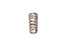 COMP Cams 26113-1 Valve Spring fits Ford 4.6L 2 Valve