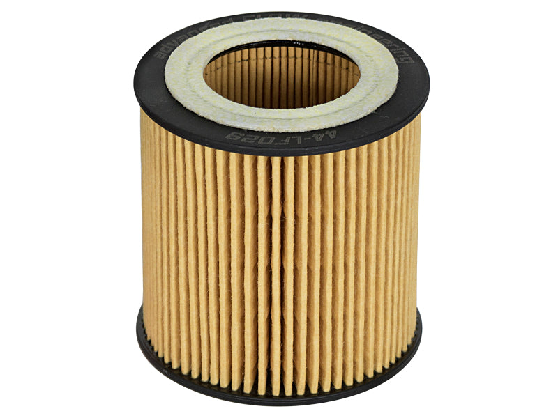 AFE 44-LF029 Pro GUARD D2 Oil Filter 06-19 fits BMW Gas Cars L6-3.0T N54/55