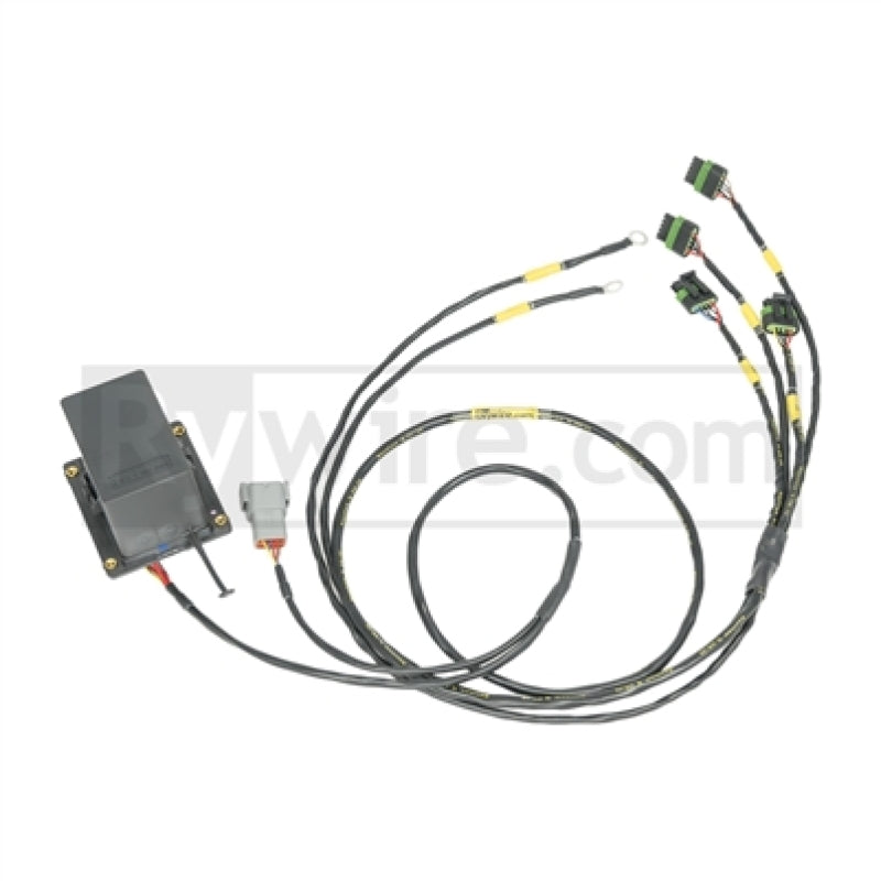 Rywire RY-COP-IGBT IGBT (AEM/IGN-1A) Coil Sub-Harness for 2 Rotor Engines