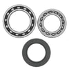 QuadBoss 413276 fits Yamaha YFM250 Moto-4 Rear ATV Wheel Bearing & Seal Kit