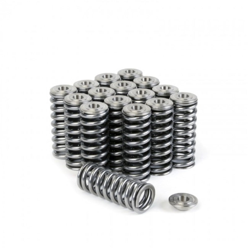 Skunk2 Racing 344-05-1350 Skunk2 Alpha Series fits Honda/fits Acura D Series Valve Spring and Titanium Retainer Kit