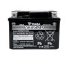 Yuasa Battery YUAM726ZS Yuasa YTZ6V Maintenance Free AGM 12-Volt Battery