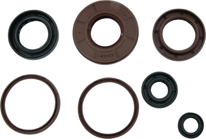 QuadBoss 564643 Qb Oil Seal Set