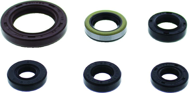 QuadBoss 564787 Qb Oil Seal Set